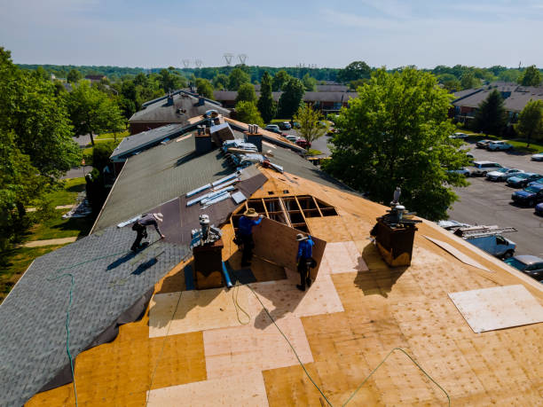 Best Metal Roofing Contractor  in Moreauville, LA
